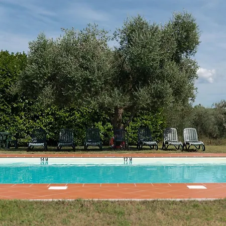 Hill In Tuscan Countryside Sienne