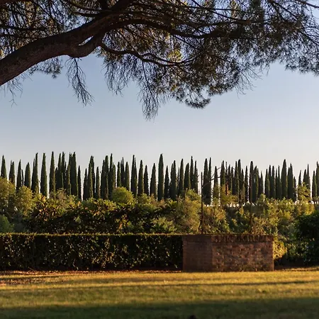 Hill In Tuscan Countryside *